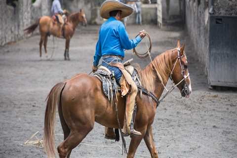 The Evolution of Competitions in Central Texas