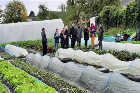 Unlocking the Potential of Urban Farms in London: Strategies to Increase Access to Capital and..