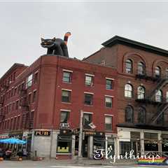 Cat on a Hot Tin Roof