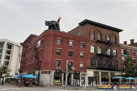 Cat on a Hot Tin Roof