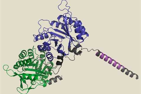 Proteins Never Seen in Nature Are Designed Using AI to Address Biomedical and Industrial Problems..