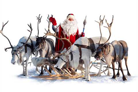 Santa’s veterinary team approves reindeer for takeoff