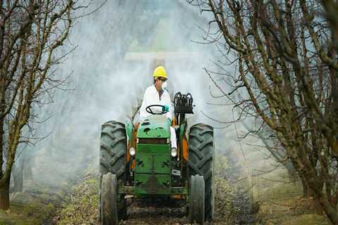 The Thriving Agricultural Programs in Charleston, SC