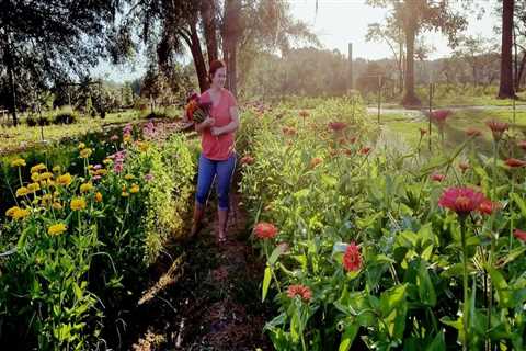 The Thriving Agricultural Industry in Charleston, SC