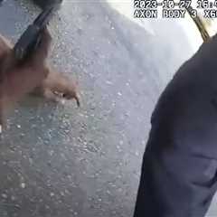 Video: Gun fires as NYPD officers wrestle weapon away from suspect