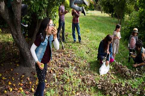 Getting Involved in the Christchurch Community: Opportunities to Make a Difference