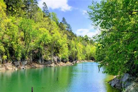 Experience Nature and Adventure in Austin, Arkansas