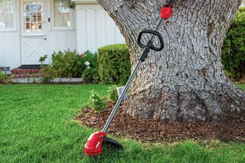 $139 for two essential lawn tools - Skil trimmer and leaf blower combo 30% off at Amazon