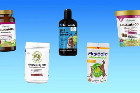 The 5 best joint supplements for dogs of 2024