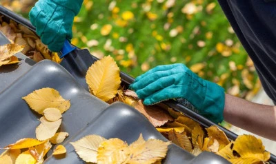 Gutter Cleaning Thornhill