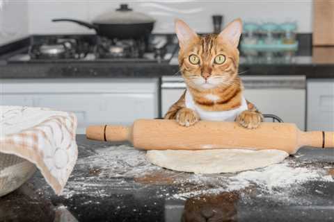 Why Do Cats Knead?