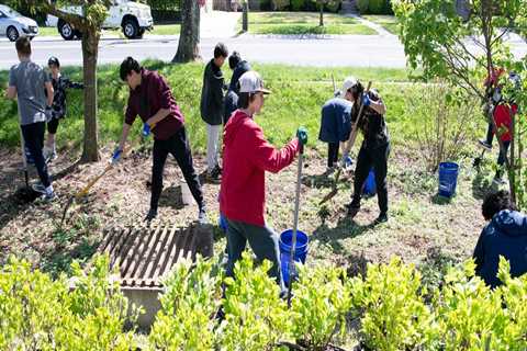 Exploring the Educational Programs Offered by Nonprofit Organizations in Rockville, MD