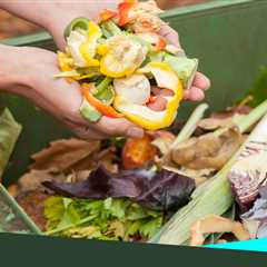 A Guide To Workplace Composting