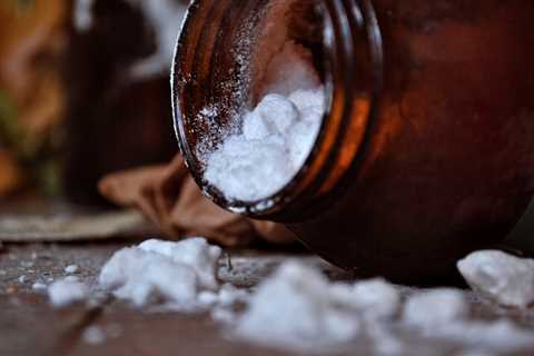 How to Treat Cocaine Toxicity in Dogs | VETgirl Veterinary Continuing Education Blog