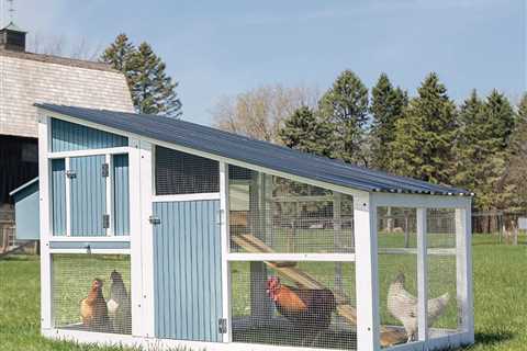 How to Build a Chicken Coop