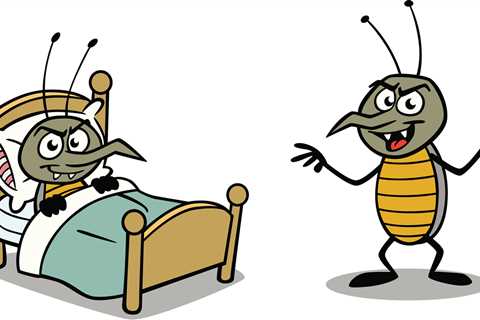 Bedbugs Have Come To Skadden