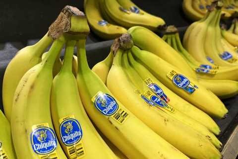 Florida Jury Weighs Chiquita Case Linked to Terrorist Financing