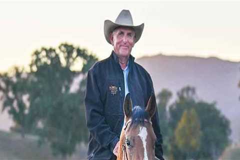 The Process of Reporting Issues at Riding Arenas in Contra Costa County, CA