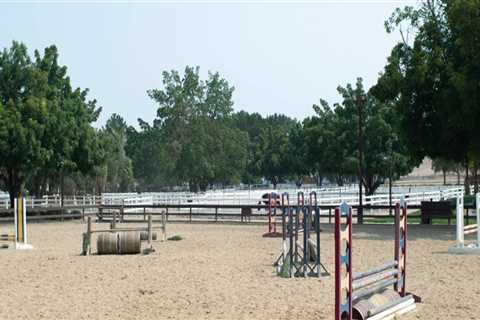 Exploring the Largest Riding Arenas in Contra Costa County, CA