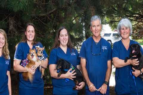 Exploring the World of Animal Hospitals in Fayetteville, Arkansas