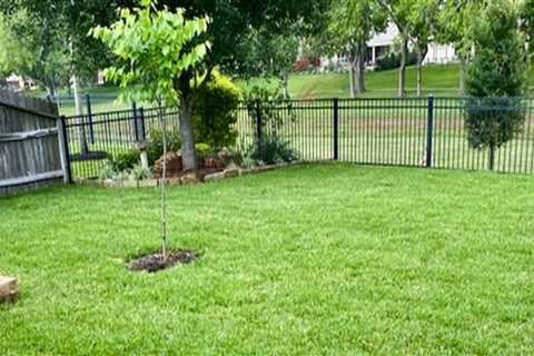 Achieving The Perfect Lawn: The Role Of Grass Sod Companies In Austin, TX's Landscape Engineering