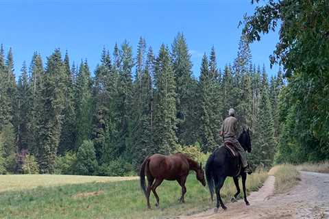 Supporting Community Groups in Clark County, WA