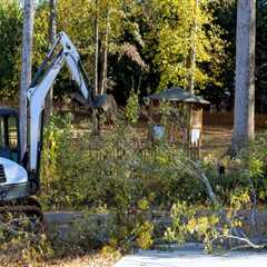 Expert Tree Removal For Custom Home Builders: Ensuring A Smooth Construction Process In Groveland,..