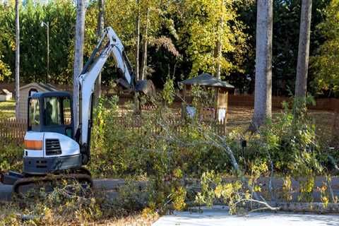 Expert Tree Removal For Custom Home Builders: Ensuring A Smooth Construction Process In Groveland,..