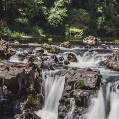 Exploring the Vibrant Sports Communities in Clark County, WA