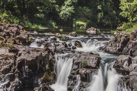 Exploring the Vibrant Sports Communities in Clark County, WA