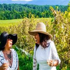 Discovering the Hidden Gems of Stafford County, VA: Wine Tasting Discounts and Deals