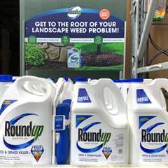 Division Over Monsanto's Preemption Defense Deepens as Mass. Court Tosses Roundup Claims