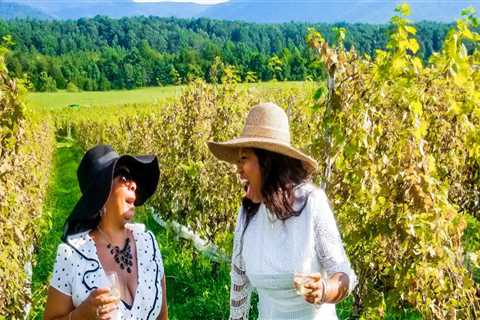 Discovering the Hidden Gems of Stafford County, VA: Wine Tasting Discounts and Deals