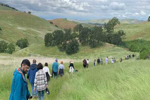 The Vibrant Community of Organizations in Contra Costa County, CA