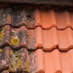 Roof Cleaning in  Dalgety Bay Professional Roof Cleaners Call Today For A Free Quote  Residential..