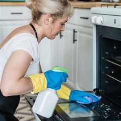 Green Hill Oven Cleaning Get Your Oven Sparkling With A Professional Local Oven Cleaner