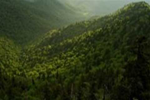Protecting and Preserving Natural Habitats and Ecosystems in Northeast Tennessee