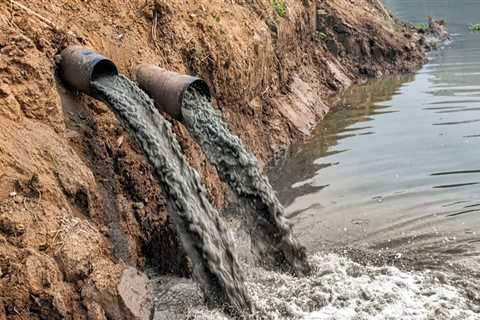 The Devastating Effects of Water Pollution in Northeast Tennessee