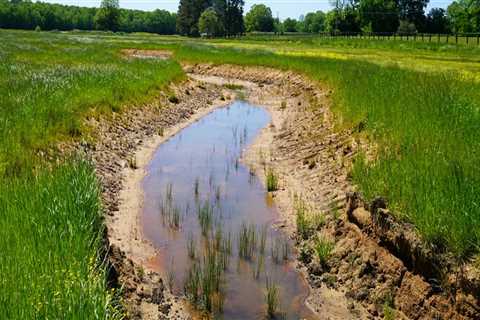 The Economic Impact of Environmental Conservation in Northeast Tennessee