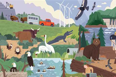 Preserving Endangered Species in Northeast Tennessee