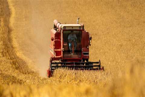 The Impact of Beverage Companies on Local Agriculture in Madison County, Kentucky