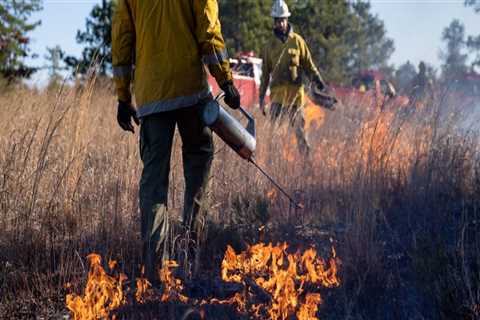 The Evolution of Fire Services in Morris County, New Jersey