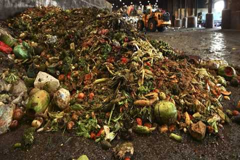 The Importance of Sustainable Waste Management in Northeast Tennessee