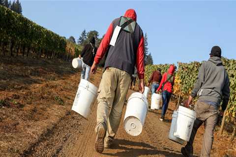 The Ins and Outs of Obtaining a Farm Labor Contractor License in Deschutes County, Oregon