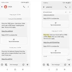 ANOTHER SLICE OF THE PIE: Serial TCPA Plaintiff Goes After Pizza Hut