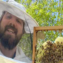 The Vital Role of Beekeepers in Preserving Biodiversity in McDowell County, North Carolina