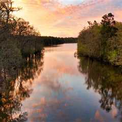 The Vital Role of Non-Profit Groups in Preserving Northwest Florida's Natural Beauty