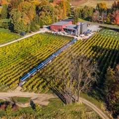 Exploring Non-Alcoholic Options at Wineries in Chautauqua County, New York
