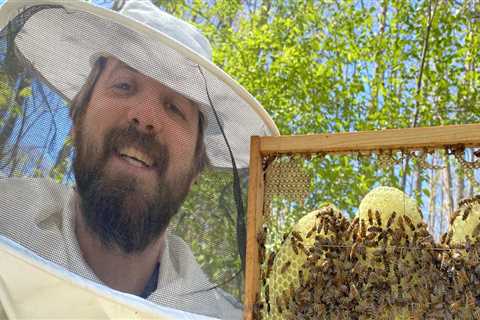 The Vital Role of Beekeepers in Preserving Biodiversity in McDowell County, North Carolina