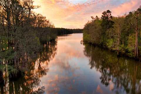 The Vital Role of Non-Profit Groups in Preserving Northwest Florida's Natural Beauty